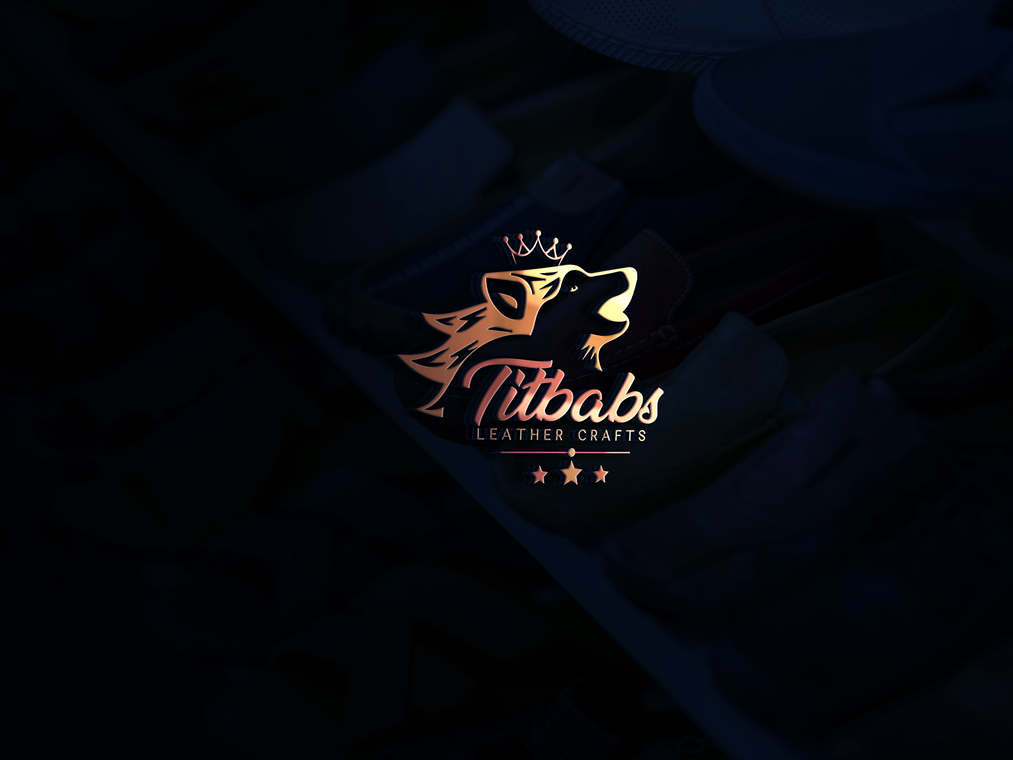 TITBABS Logo Design